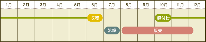 年間スケジュール