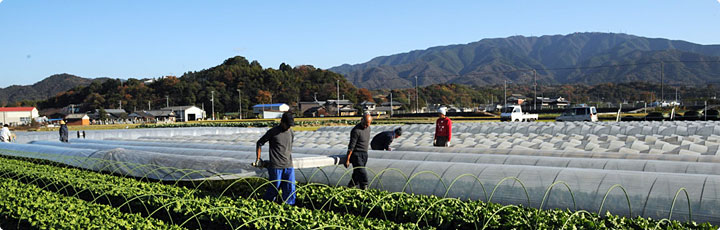 生産品目