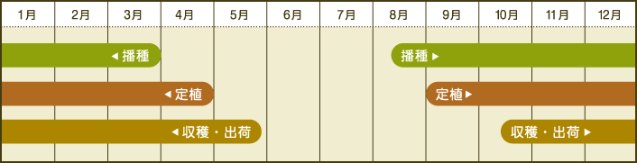 年間スケジュール