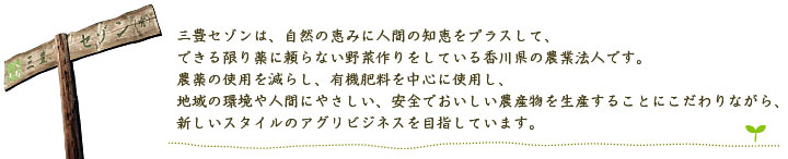 三豊セゾンは、自然の恵みに人間の知恵をプラスして、 できる限り薬に頼らない野菜作りをしている香川県の農業法人です。 農薬の使用を減らし、有機肥料を中心に使用し、 地域の環境や人間にやさしい、 安全でおいしい農産物を生産することにこだわりながら、 新しいスタイルのアグリビジネスを目指しています。 